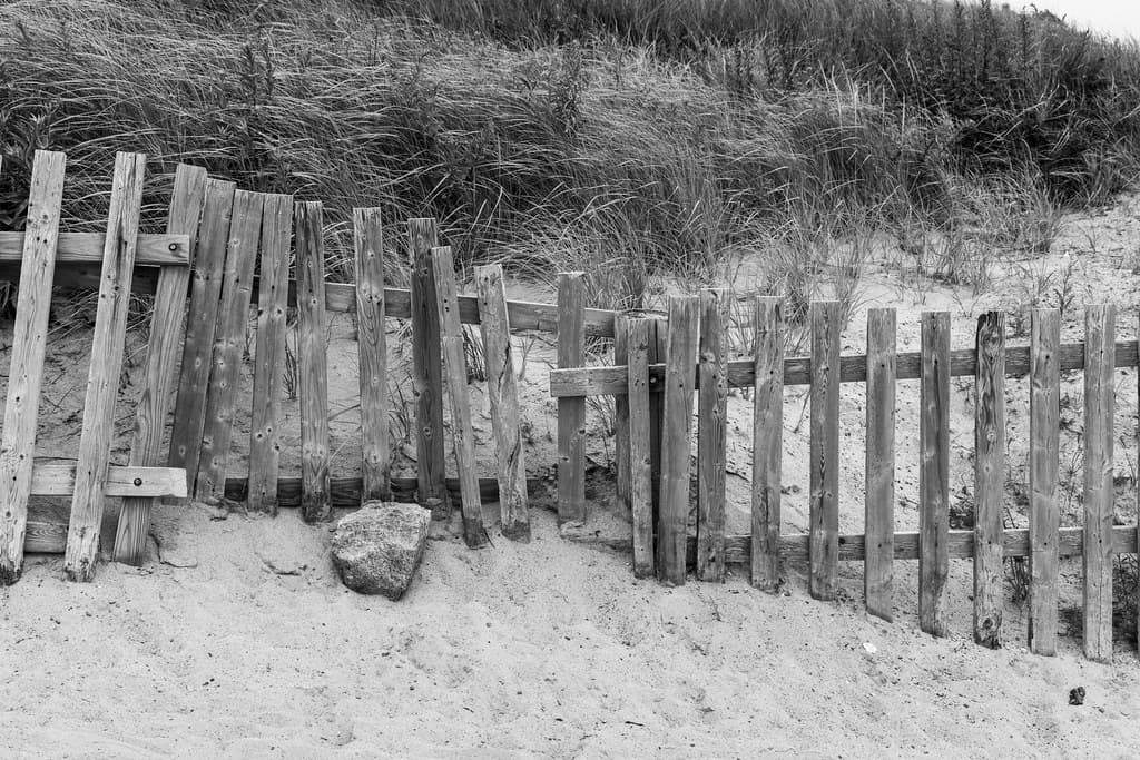 Paines Creek Beach