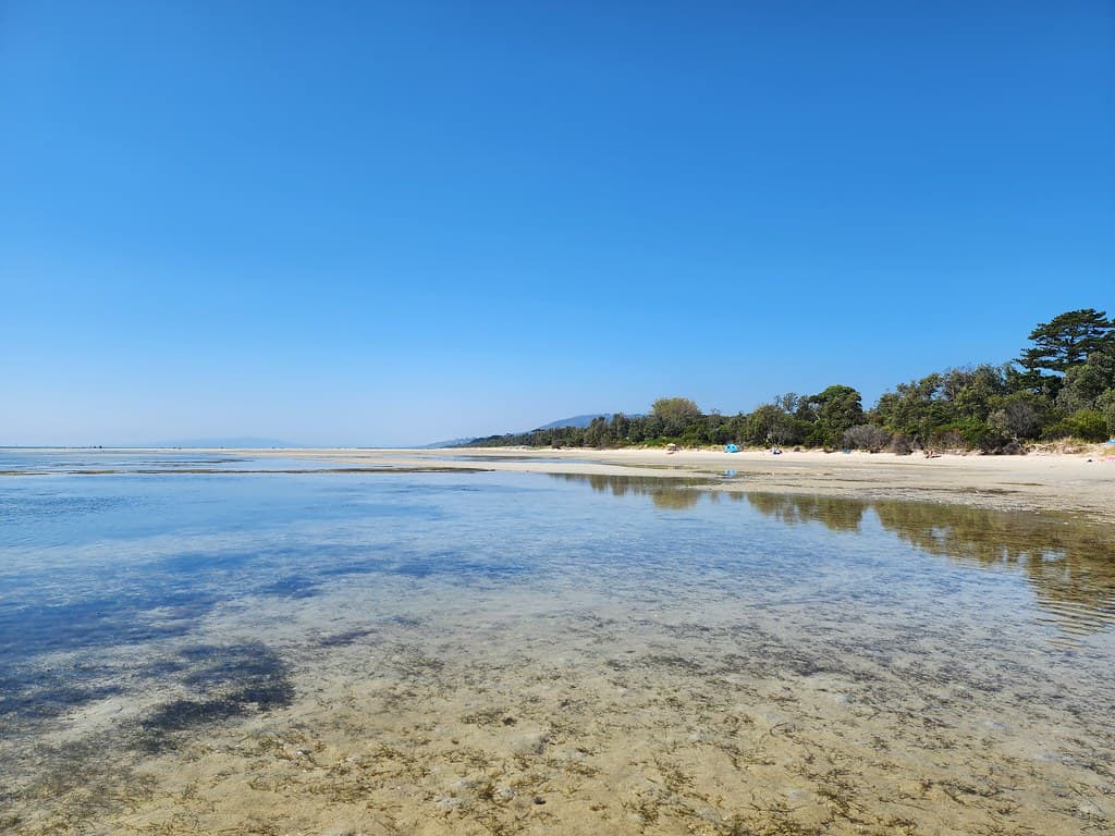 Capel Beach