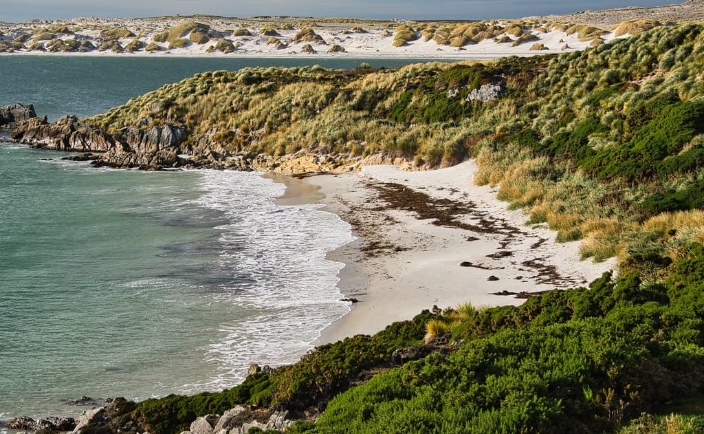 Rookery Bay