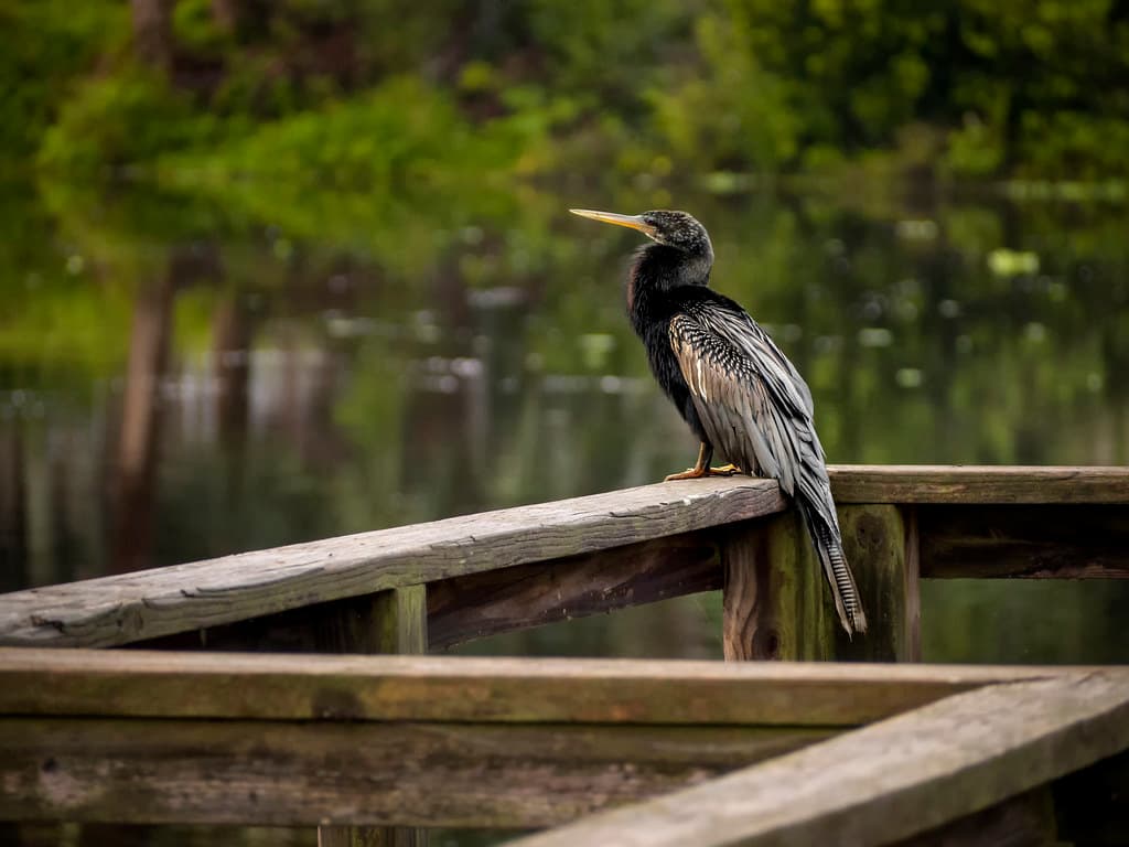 Lakeside Beach
