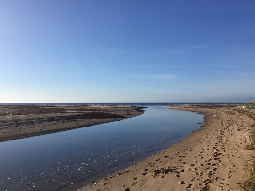 Ayr Beach