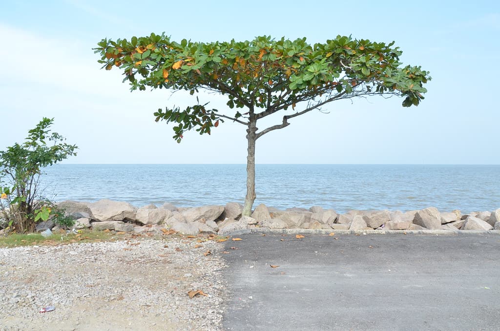 Pontian Seaside Beach
