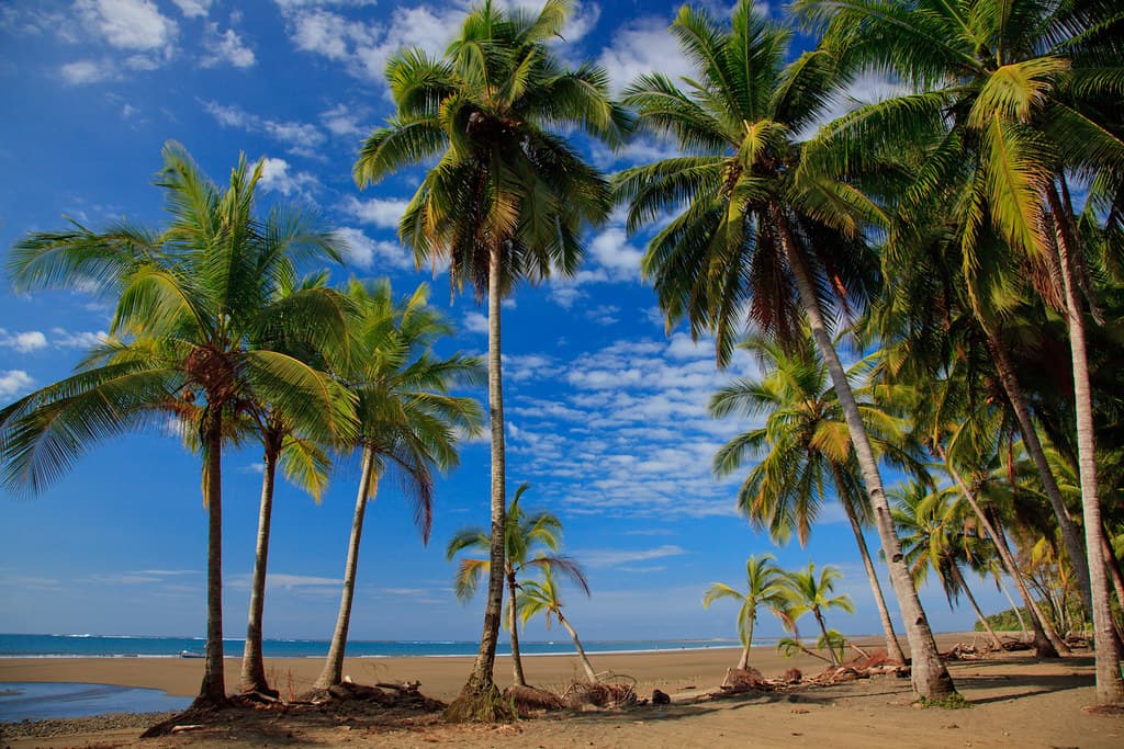 Playa Colonia