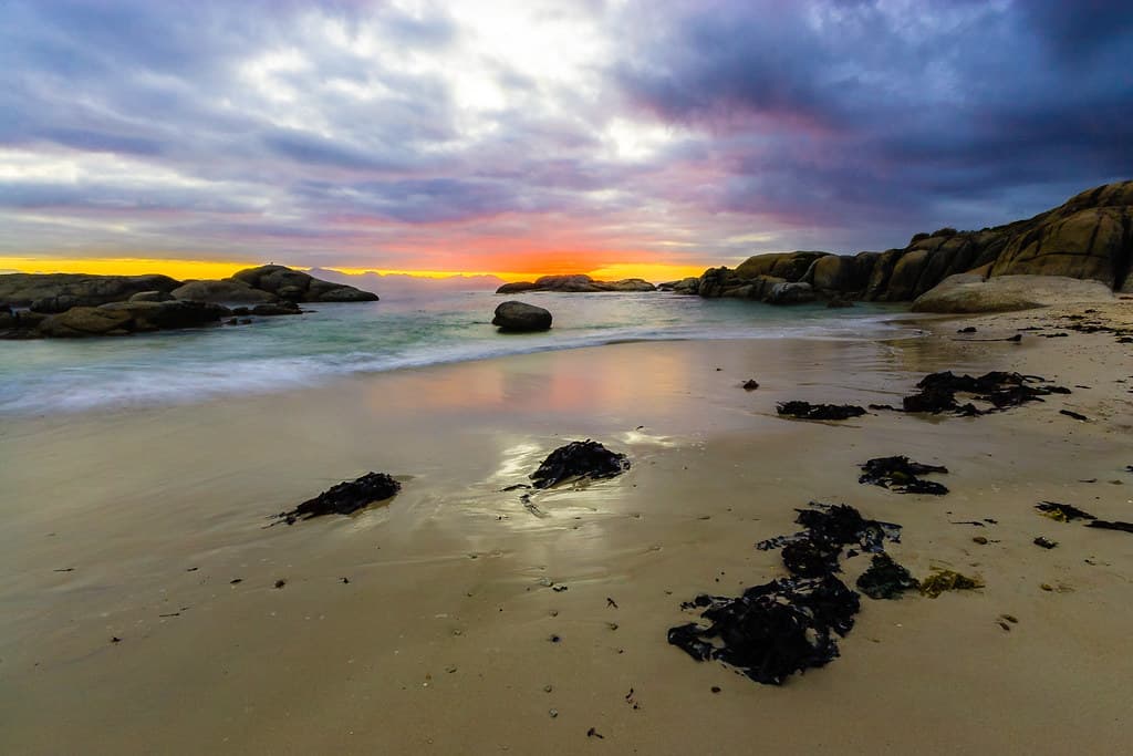 Froggy Pond Beach