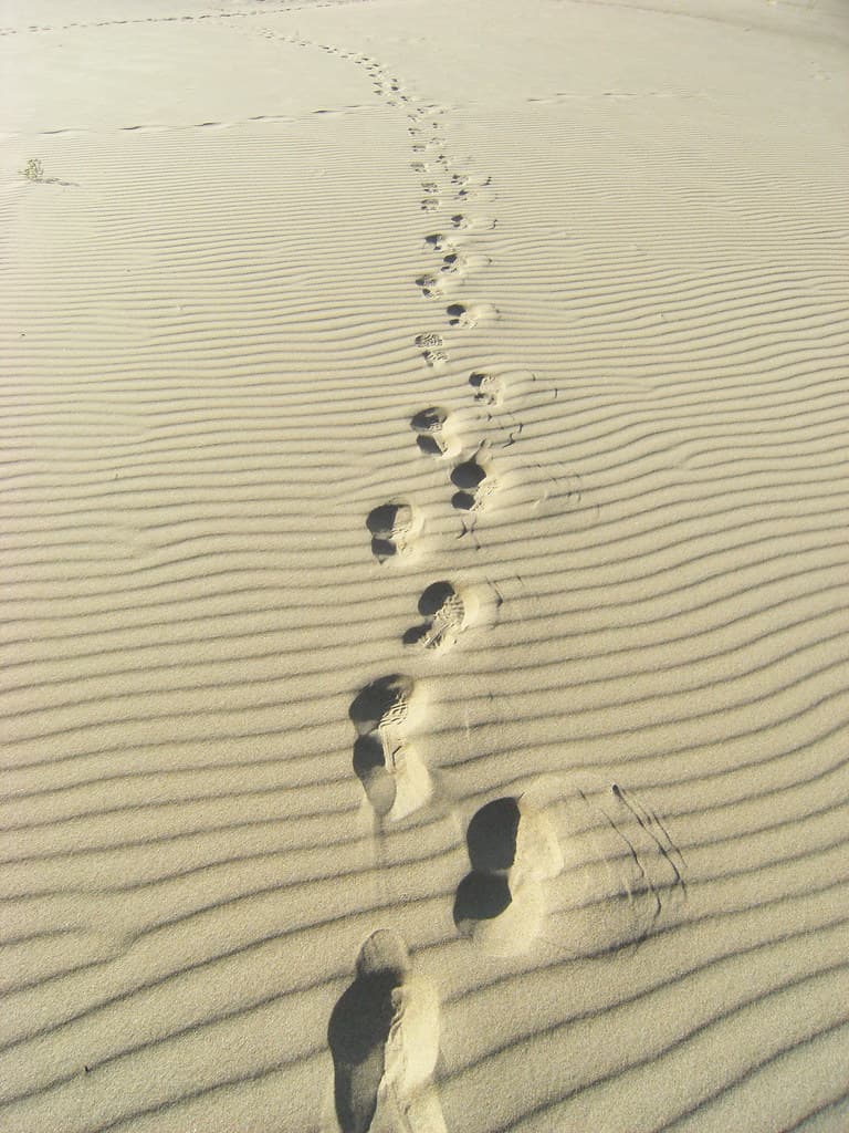 Steps Beach