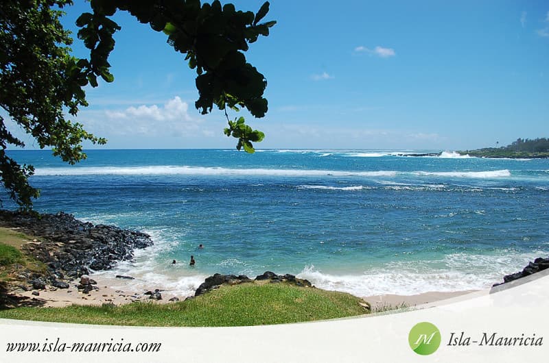 Surinam Beach