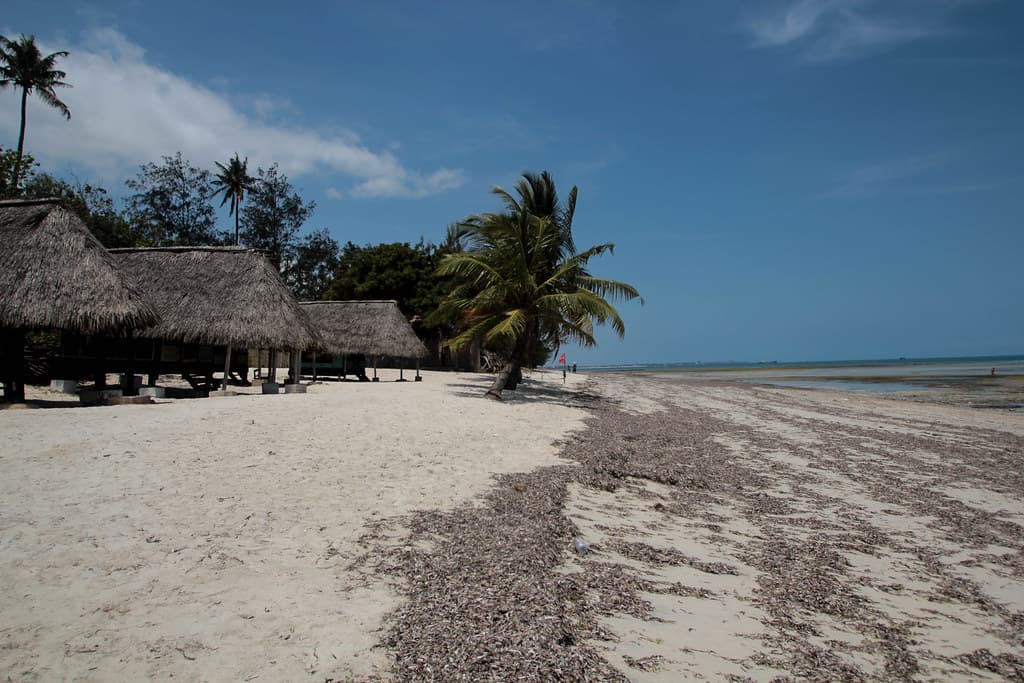 Kipepeo Beach