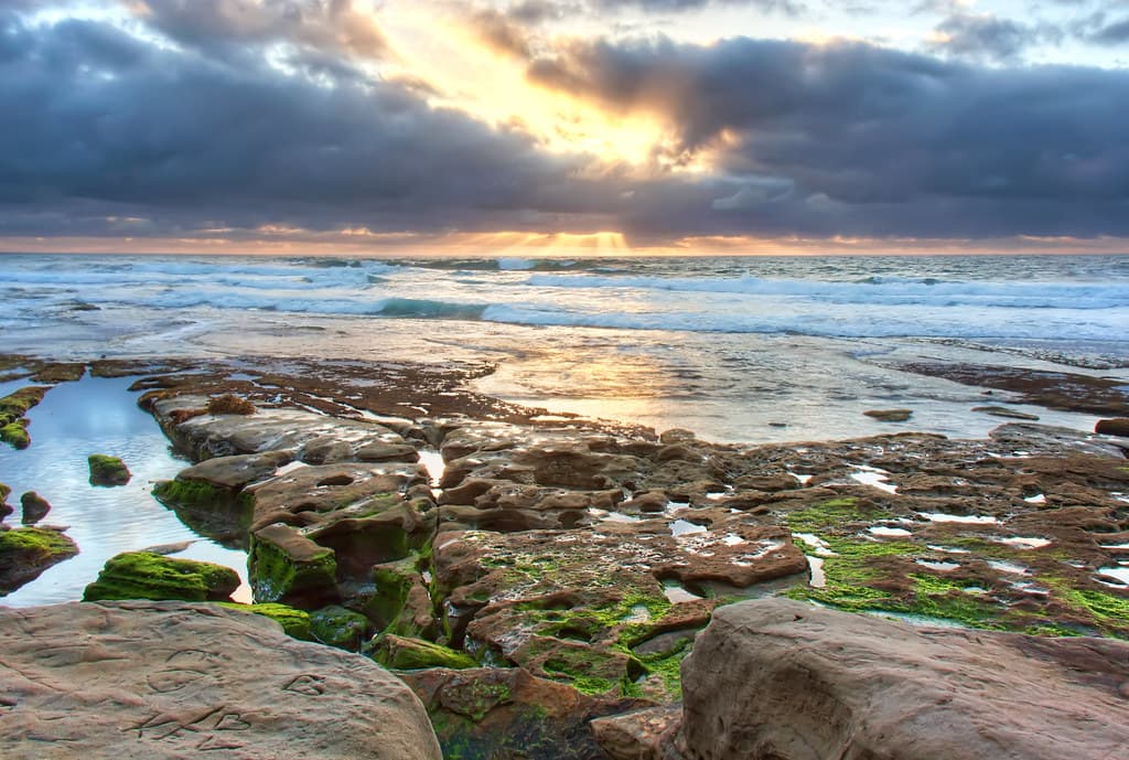 La Jolla Shores