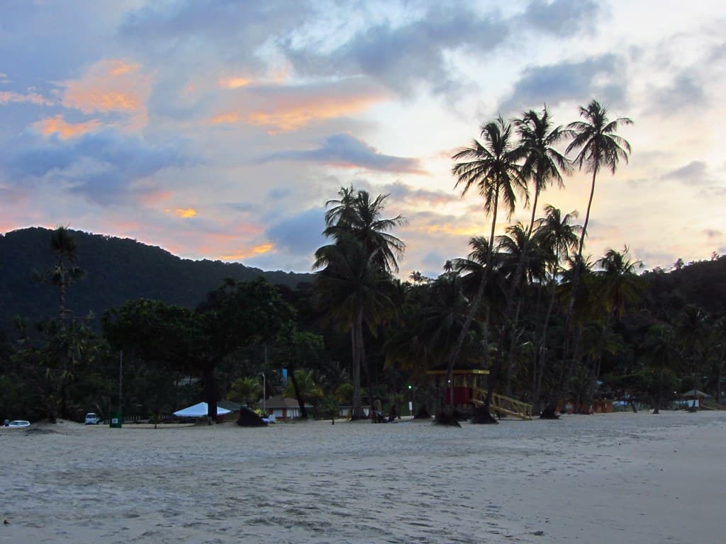 Paragrant Bay