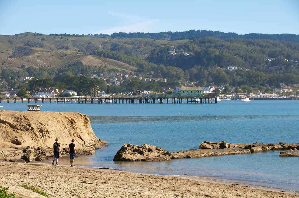 Pillar Point Beach