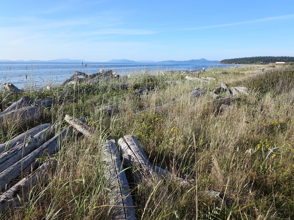 Joseph Whidbey State Park Beach