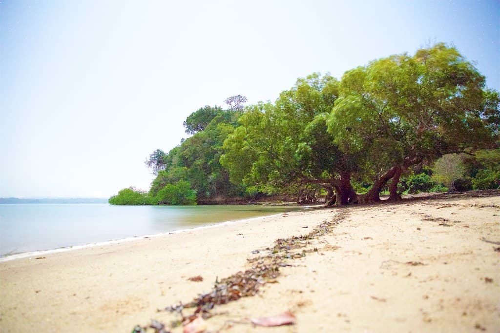 Kilifi Bay Beach