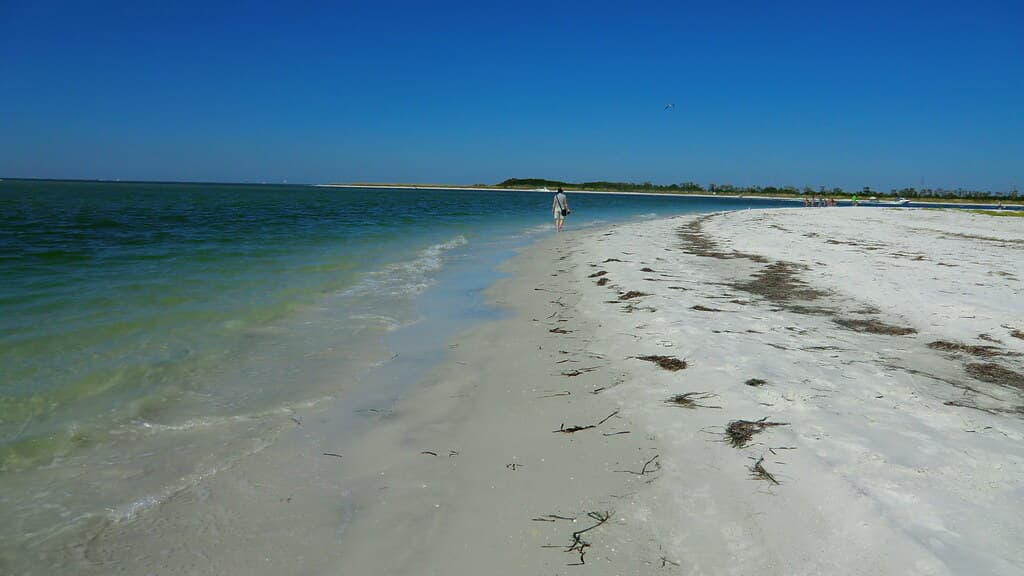 Fort De Soto Beach
