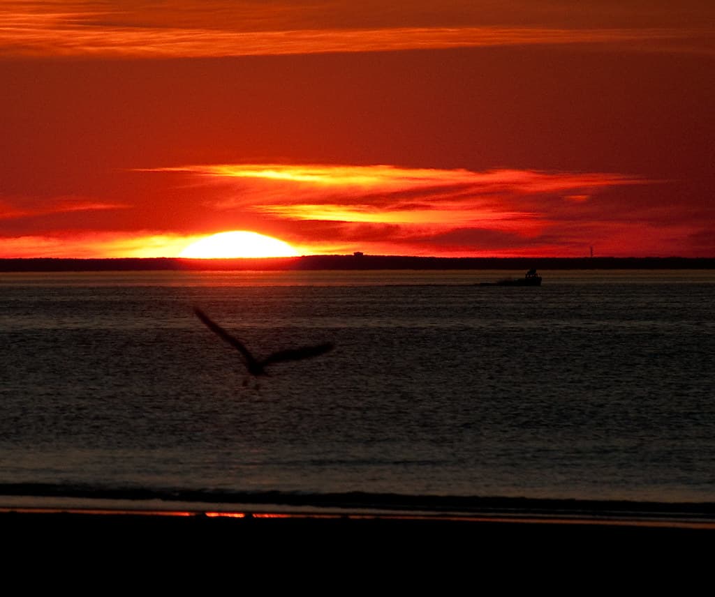 Mayflower Beach
