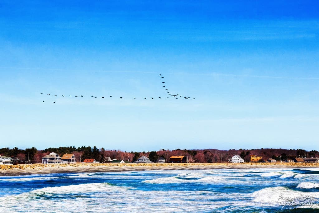 Jaffrey Point Beach