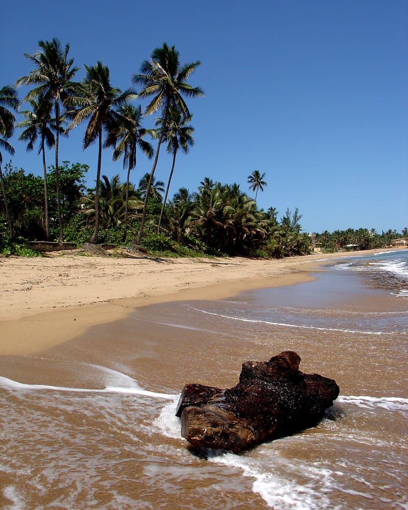 Antonio's Beach