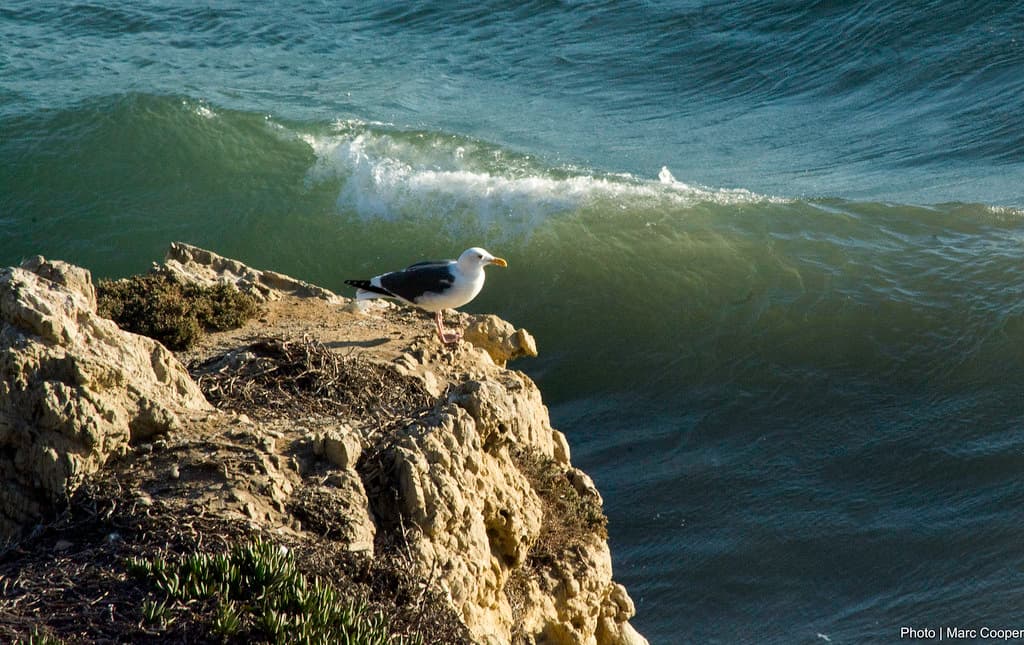 El Matador Beach
