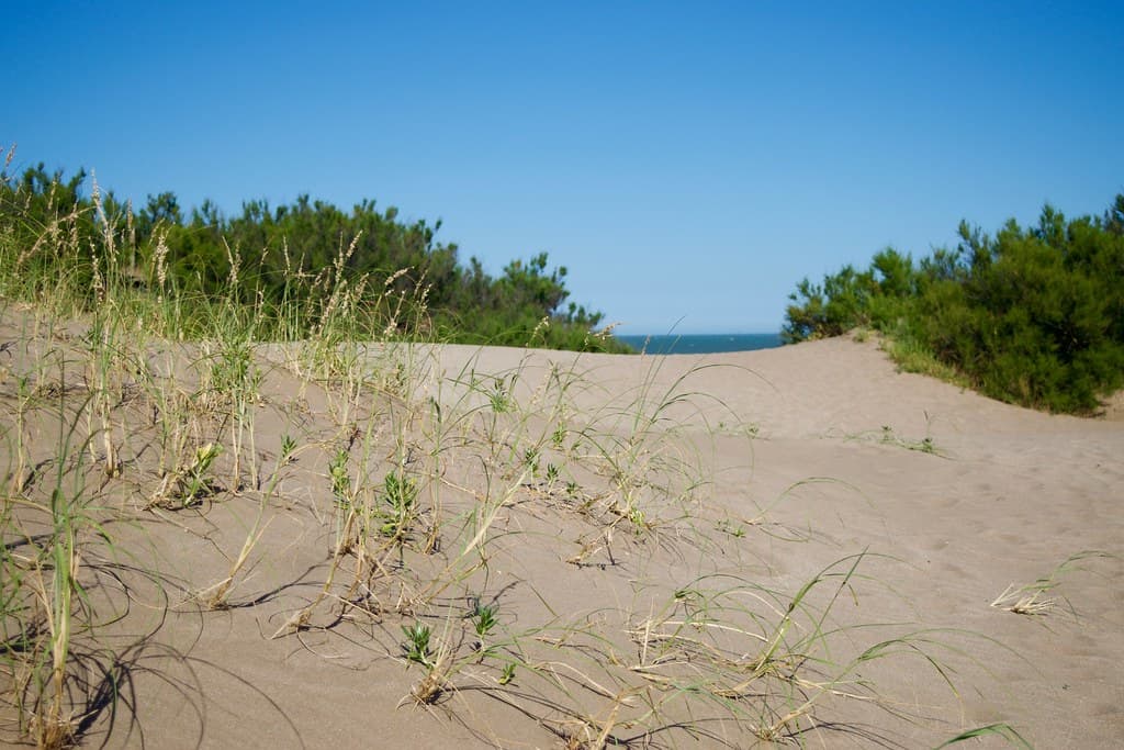 Playa Norte Pinamar