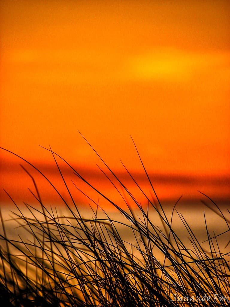 Ocracoke Beach