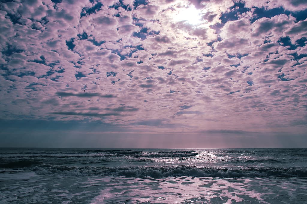 Winter Island Beach