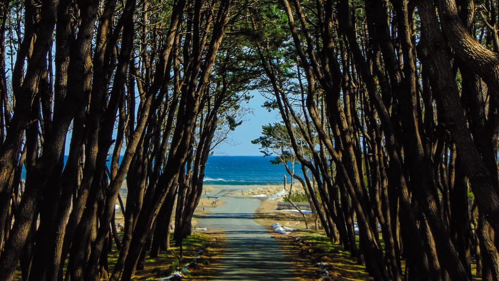 Misawa Beach