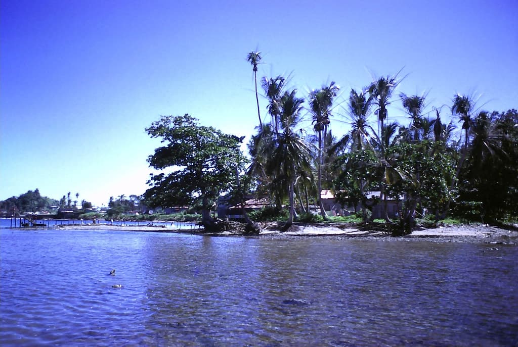 Playa Los Baños