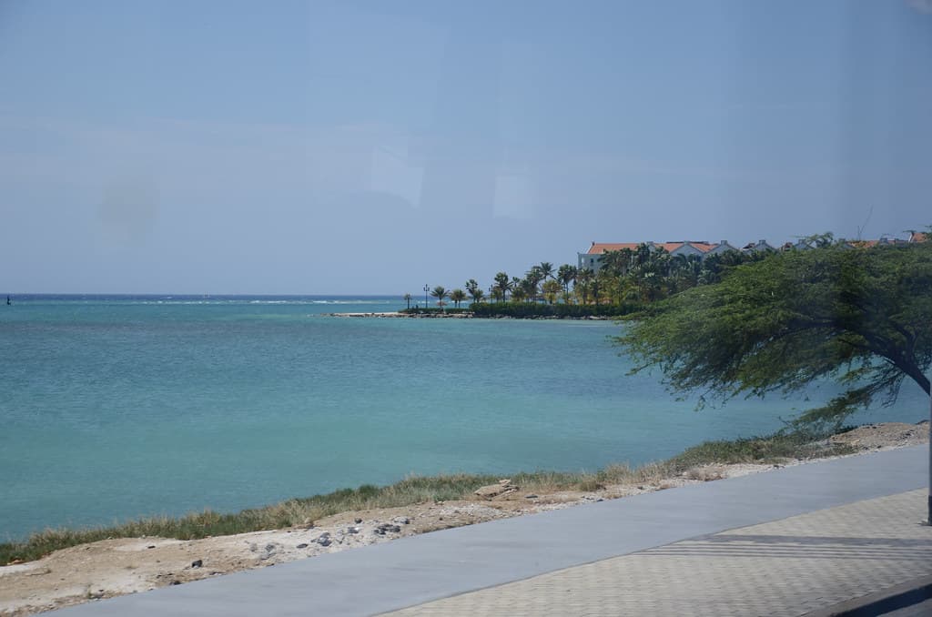 Pos Chiquito Lagoon Shore