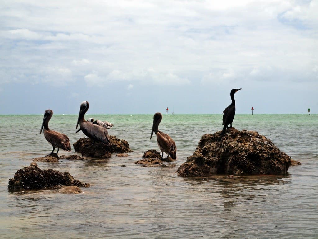 Bird Creek Park Beach