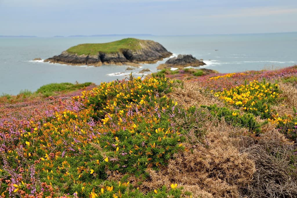 Solva Beach