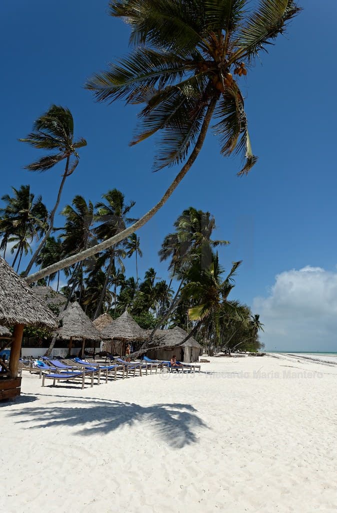 Kiwengwa Beach
