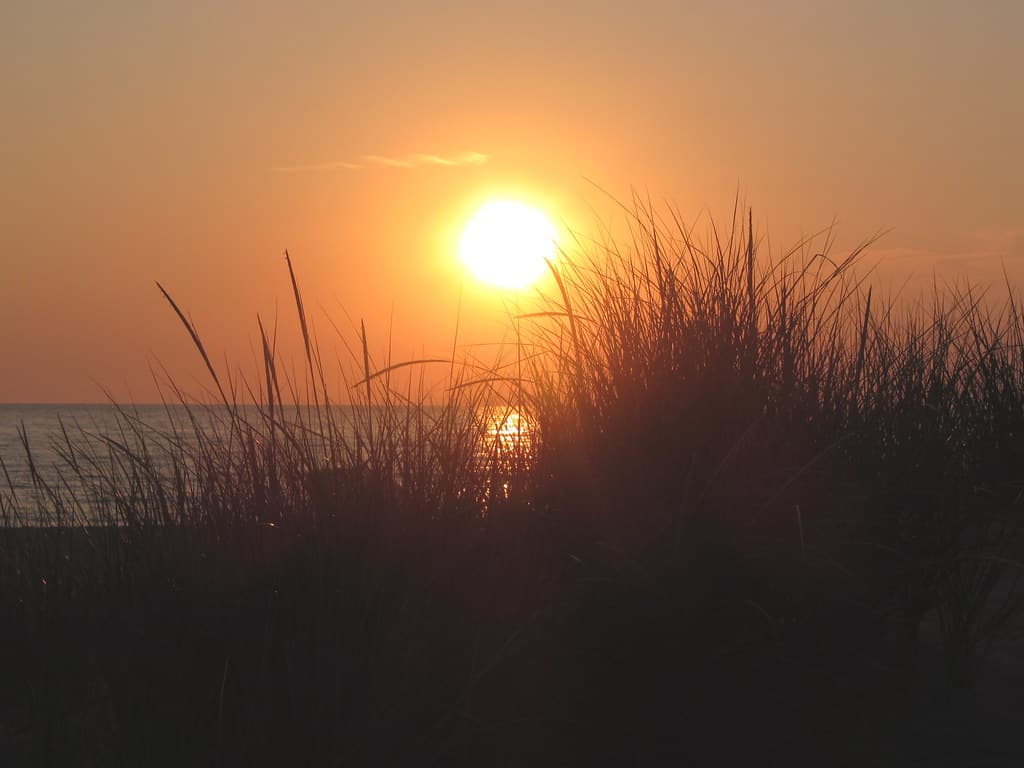 Meinert Park Beach