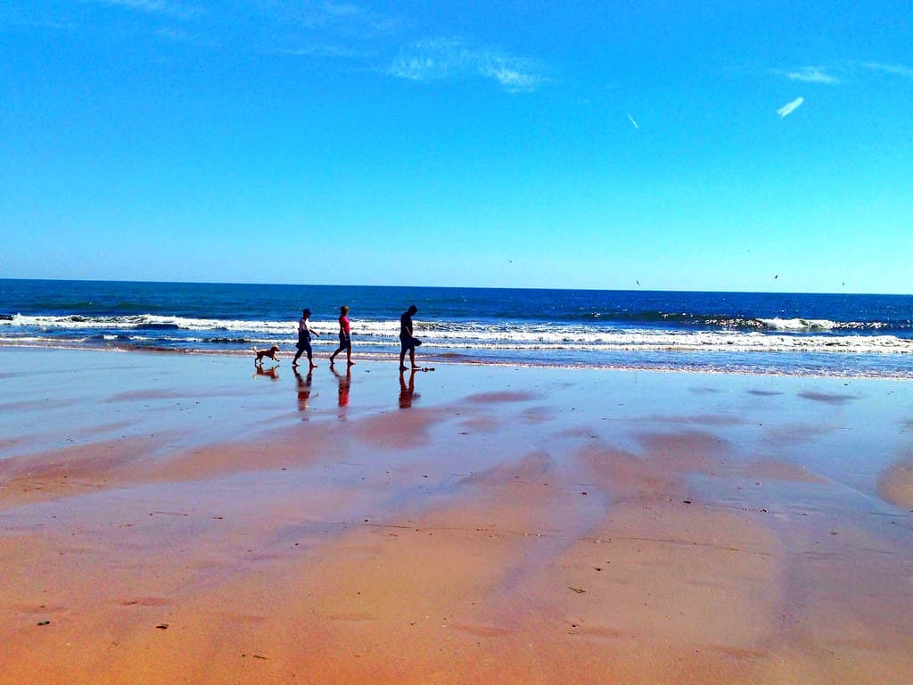 Dawlish Town Beach