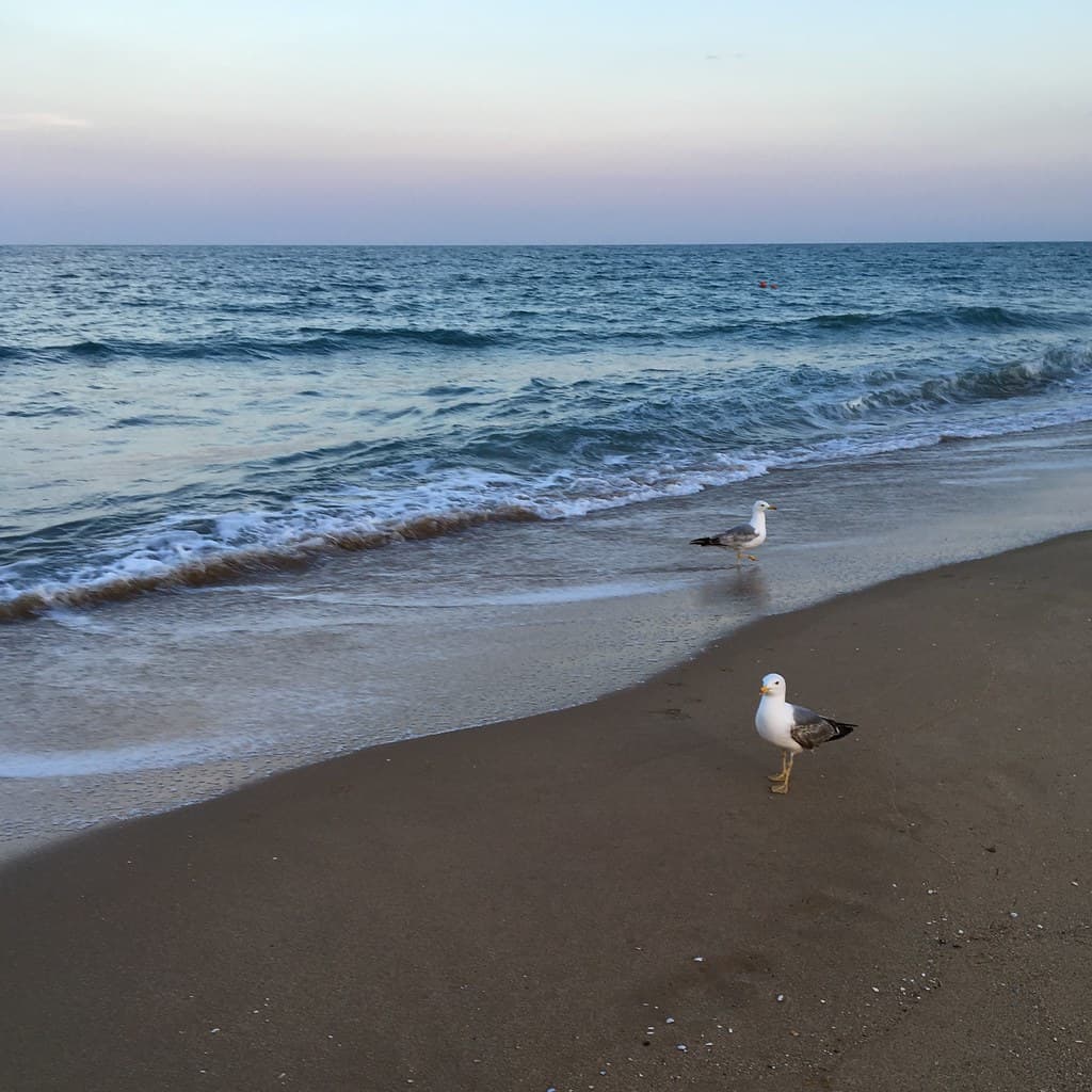 Kranevo Beach