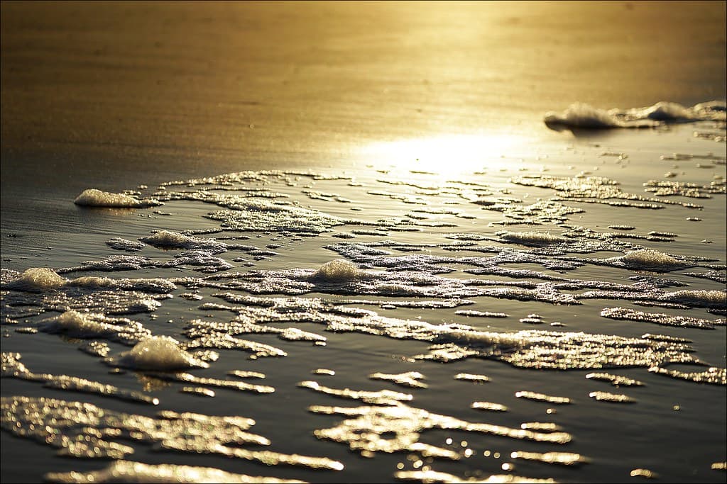 Groede Beach
