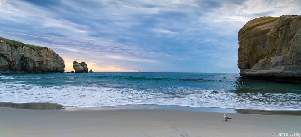 Blackhead Beach