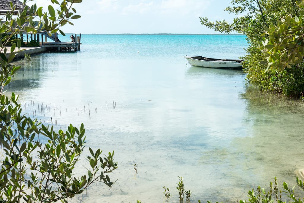 Cotton Bay Beach