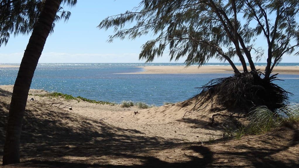 Plantation Creek