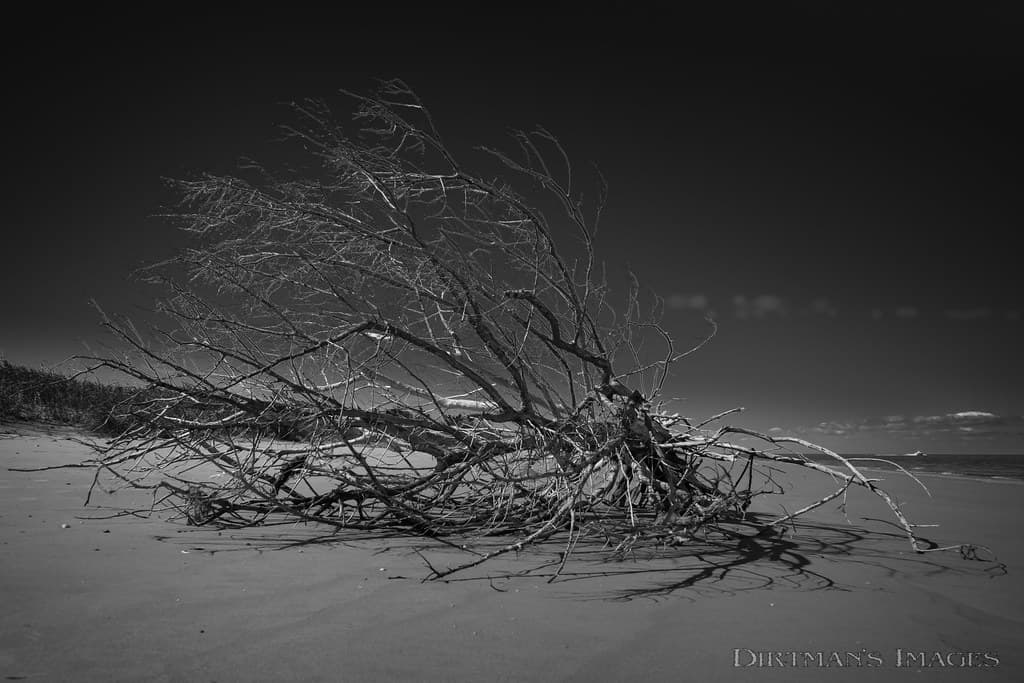Cedar Island Beach
