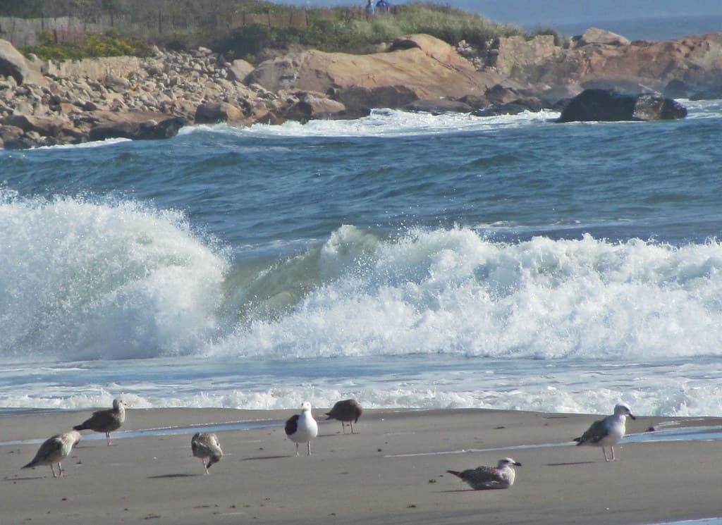 Fishermens Memorial State Park Shore