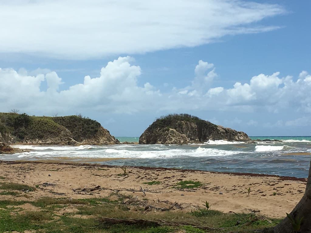 Playa Buena Vista